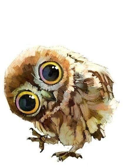 owl (artist unknown)