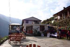 Pour notre petit déjeuner, les assistants ont dû chercher du pain de mie à la boulangerie du village… nous le savourons sur la terrasse. Ensuite, nous descendons à travers Chumrung par un interminable escalier qui se terminera finalement en bas de la vallée, au bord de la rivière. Il a apparemment 2100 marches, que nous avons dévalées sans le réaliser, avec l'entrain de la matinée. On pourrait croire que c'est reposant de descendre, mais pour moi, notre but est de monter en altitude pour admirer le cirque des sommets des Annapurnas. Chaque descente revient donc à s'éloignait de notre objectif sur l'altimètre! La patience doit savoir s'accommoder des chemins détournés sans se désespérer. S'ensuit donc une remontée sur la montagne d'en face, me voilà rassuré. Sans en comprendre la raison, les forêts de rhododendrons offrent aujourd'hui des arbres plus fleuris qu'à l'accoutumée. Leurs racines ont toujours plus de formes enchantées et les mousses qui les habillent ressemblent à des haillons. Les arbres ont quelque chose d'ancestral et d'apparence mythologique. Loin de donner l'impression d'une forêt hantée, elle garde ses secrets. Ensuite, il y a un signe de changement dans la végétation : il y a de plus en plus de bambous entre les arbres, poussant en bosquets touffus de fines branches jaunes. A l'inverse des arbres, ces plantes dégagent une impression d'harmonie. La journée de marche n'est pas reposante, l'empressement de nous rapprocher du but de ces derniers jours laisse quelques traces. Malgré tout, la végétation nous offre l'envie de progresser toujours plus en avant vers les mystères qu'elle nous réserve. Des petites chutes d'eau sont dissimulées derrières les mousses des parois rocheuses et les feuillages. Entouré de bambous géants, on se sent tout petit, perdu au milieu d'un jardin bonsaï mais avec les immenses sommets enneigés dans le lointain. Ils ne resteront pas visibles longtemps. Nous déjeunons sous pressentiment envahit notre groupe et pour la première fois, nous enfilons instinctivement nos longues capes de pluie qui nous recouvrent totalement avec les sacs à dos. On a peine à voir à travers la pluie avec les capuchons serrés. De nombreux ruisseaux traversent le chemin et les papillons qui nous ont accompagné jusque là cèdent la place à une multitude de coccinelles. Nous devons prendre des précautions en posant chaque pied sur une pierre bancale ou dans la boue. La vallée est également de plus en plus escarpée jusqu'à nous étrangler pour l'arrivée pénible à notre lodge suivante, dans le hameau de Dovan. Contrairement aux précédents, l'endroit n'est guère attirant : coincé entre les pentes des montagnes en vis-à-vis, la lodge n'a qu'un rez-de-chaussée, une cour pavée – évidemment – et une salle commune avec deux tables carrées, adjointe d'une cuisine. Il règne une odeur de kérozène, utilisé pour chauffer la pièce humide. Certains prennent une douche (payante cette fois, mais plus tiède qu'à l'accoutumée). La pluie n'est pas de bonne augure, nous le sentons ; mais tous se blottissent autour d'une des tables : randonneurs, guide, assistants et porteurs, il n'y a donc plus cette barrière hiérarchique, source inutile de malaise à mes yeux. Il est encore tôt dans l'après-midi, mais le jour tombe rapidement au creux de la vallée harcelée par la pluie qui redouble. Etant donné que nous allons bientôt aborder la haute montagne, notre guide donne les recommandations d'usage pour éviter le mal d'altitude. Pensif, il ajoute que nous devrons changer de programme si la pluie continue. Elle pourrait gâcher notre progression du lendemain et, en altitude, se transformerait en neige, ce qui peut effacer les traces du chemin menant au Sanctuaire des Annapurnas. Au moment de se coucher, la pluie tombe désormais comme à la mousson. Cela ne nous laisse que peu d'espoir de la voir s'arrêter et chacun dans son lit envisage l'éventualité désagréable de devoir renoncer au but de l'expédition. Seul notre doyen est serein ! 