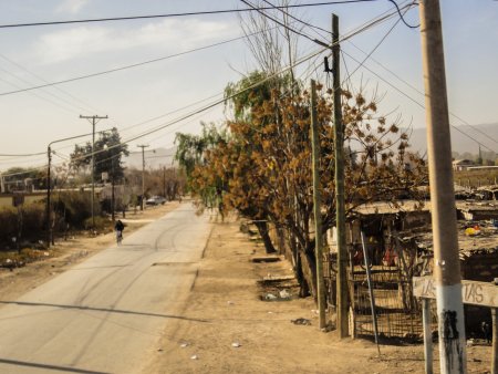 Nous voilà en route pour traverser le pays sur toute sa largeur. Pendant le voyage, en grande partie de nuit, nous aurons à peine eu le loisir de bavarder : moi je voulais faire la connaissance de Joe et Naïke, de partager nos projets d'itinéraire – que chacun a dû envisager de son côté – et Laure me proposa d'envisager de voyager seul, un idée brusquement suggérée sur le moment, mais qui fera son chemin… Pour l'heure, la nuit était avancée et les fauteuils trop confortables. Ce fut un comble de tomber sur un bus aussi luxueux – quand au petit matin, on découvrit un paysage aride et les villages qu'on traversait semblaient si pauvres, en plus d'être immensément éloignés les uns des autres ! Après les treize heures de route, nous arrivâmes dans cette région moins désertique, et dans sa ville : Mendoza. Elle est naturellement connue pour être une des capitales argentines du vin. Mais nous l'avons choisie car cette ville est proche des Andes, une partie où le massif est très haut, et en vis-à-vis sur l'autre versant, se trouve la capitale du Chili, Santiago. Mais tout cela, nous l'avons entendu ou lu dans le guide… Donc, nous y voilà : la gare routière est certes moins affolante qu'à Buenos Aires, mais avec notre petit plan, nous nous sommes mis à chercher un itinéraire pour nous rendre à une auberge de jeunesse, une des moins chères, dans le centre-ville, mais pas tout à fait au milieu du centre. Pressés de se poser, de prendre une douche et de déposer les énormes sacs, nous avons pris le premier bus qui menait dans la direction. Pendant le trajet, nous avons dû passer pour des géomètres à comparer chaque plaque indiquant les rues à notre plan. Arrivés à proximité suffisante de notre but, nous sommes descendus et avons fini le chemin à pieds. Nous avons tâtonné, cherché une enseigne luxueuse qui n'était pas celle de l'auberge que nous recherchions, mais qu'importe, nous étions un peu perdus dans une ville nouvelle. L'auberge était finalement petite, relativement peu luxueuse d'apparence, mais familiale. Ceux qui la tenaient étaient fort sympathiques. Cette famille échangeait un peu en français, mais si mal qu'ils m'ont permis de pratiquer intensément l'espagnol. Nous partîmes explorer la ville, relativement petite et centrée sur une place-jardin où se déroulait une rencontre pour enfants avec un concert de Rock. Les musiciens étaient très typés « andin » : petits, trapus, la peau sombre et les traits anguleux. Ils dégagent une impression de sérénité. A proximité, la vie suit son cours… Notre promenade en ville ne sera ni gastronomique ni viticole. On aura tout de même remarqué quelques spécialités locales d'urbanisation qui permettent – pour préserver les caves remplies de bon vin – d'éviter les crues de rivières avec ces tranchées dans toutes les rues, ainsi que des bouches d'égout ouvertes aux pieds des arbres, gérant le « trop-plein » d'eau. Nous avons également trouvé une « excursion » dans les Andes, ce que j'attendais de découvrir avec impatience. Et en plus, la principale attraction à proximité se trouve être le Puente del Inca… peut-être un premier vestige de cette civilisation ou simplement un nom vendeur ! Le soir, Laure et moi sommes partis vers la rue où tous les bars et boîtes de nuit étaient concentrés. Dehors, il faisait étrangement chaud, c'était radicalement différent de Buenos Aires, pourtant à la même latitude. Nous découvrîmes un phénomène très étrange : outre la température estivale pendant l'hiver, des rafale de vent chaud se produisirent, emportant des nuages de poussière en tourbillons. Nos yeux piquaient, il était presque impossible de les garder ouverts et nous avancions à tâton dans les rues désertes. Quand nous sommes arrivés dans un bar d'un ami d'ami de Laure, nous étions heureux de nous retrouver à l'intérieur, et le phénomène étrange avait cessé. Ce n'était pas une nuit de pleine lune, mais ça en avait tout l'air. Comme il était près de minuit, le bar était désert, nous étions les seuls avec le patron. Les gens sortent tard… Après quelques verres de bière (locale), nos sommes repartis – sans connaître l'ambiance de Mendoza en fête – car nous devions nous lever tôt le lendemain. Les bourrasques de vent ont alors repris, comme une réplique. C'est paraît-il un phénomène courant dans la région ! 