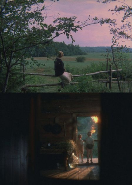 Mirror - Andrei Tarkovsky