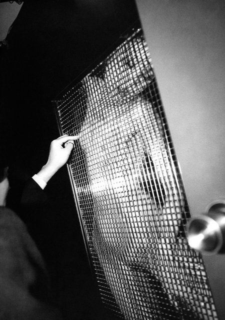 Nobuyoshi Araki - Les femmes, les fleurs, le bondage et le quotidien